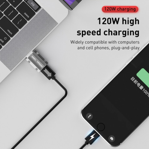 Adaptateur droit en alliage de zinc mâle 120 W Type-C femelle vers USB 3.0 (argent) SH701A8-06
